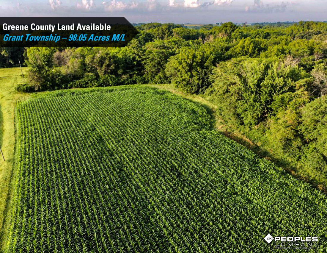 Listing Photo: Greene-County-Iowa-Recreational-Land-Available-98-Acres-19559 (17)